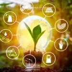 Startup Green Energy Menuju Ekonomi Rendah Karbon: Inovasi Baru untuk Masa Depan