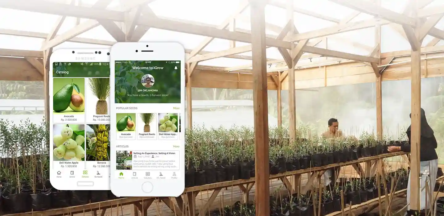 Startup Teknologi Pertanian yang Sedang Naik Daun: Reinovasi Sektor Agrikultur Indonesia