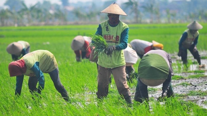 Pengembangan Pertanian Modern di Jawa Barat: Inovasi, Teknologi, dan ...
