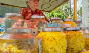 Bisnis Manisan Buah Makin Menarik, Usaha Camilan Segar yang Punya Pasar Luas