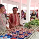 Ekonomi Papua Bertumpu pada Tambang, Pangan, dan Jalur Perdagangan Baru